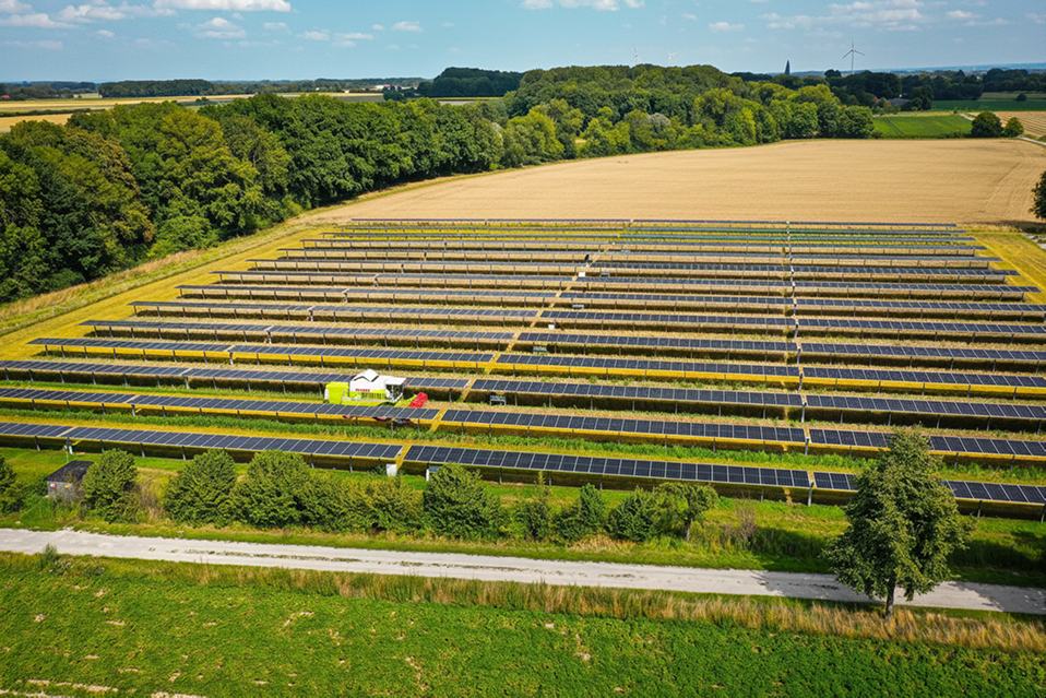 Impianto fotovoltaico a terra di media taglia in campagna, con file di pannelli tra campi di grano e alberi
